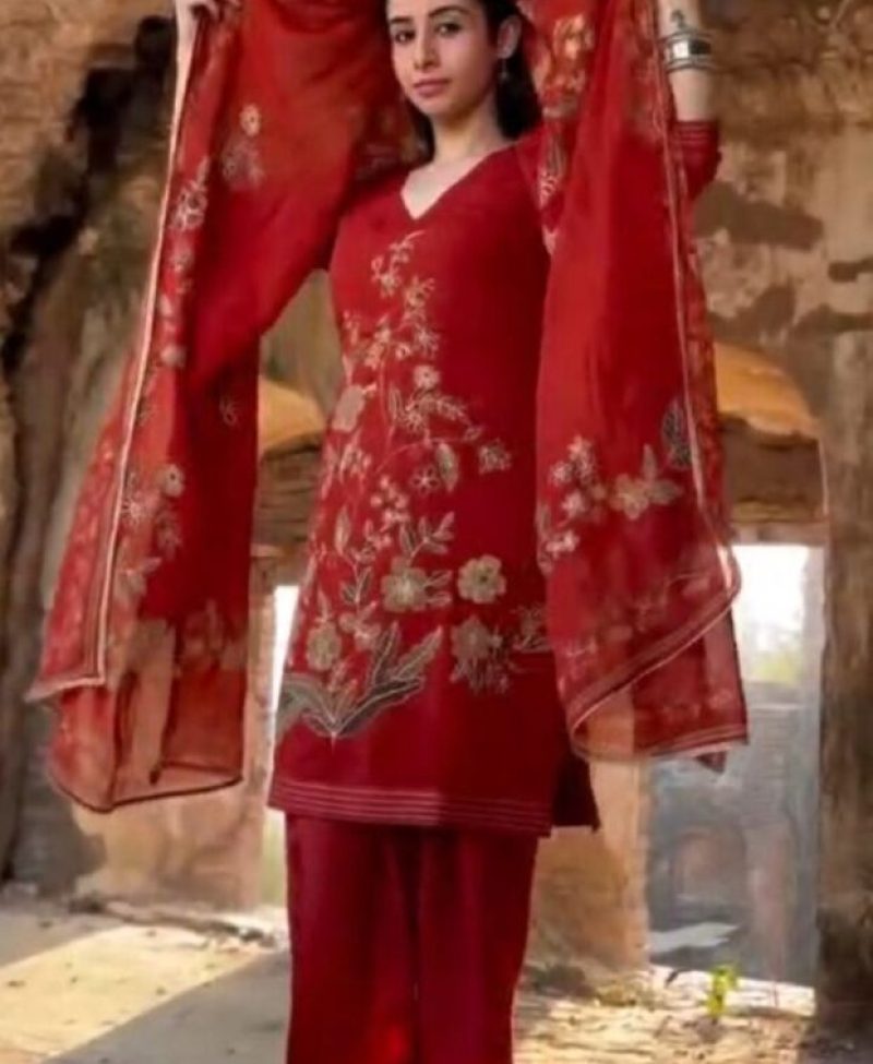 Red Organza Suit